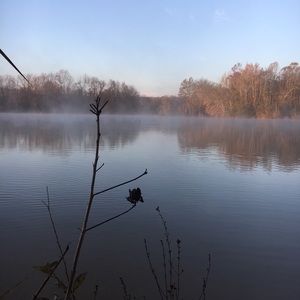 Meet your Posher, Cole